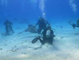 069 Stingray City IMG 6006